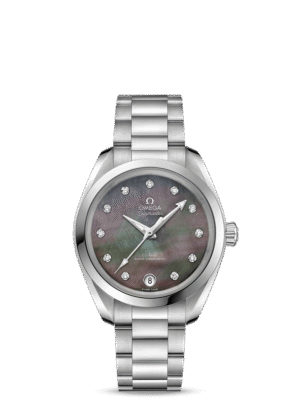 Seamaster Steel Chronometer Watch 220.10.34.20.57.001