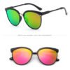 Cat Eye Brand Designer Sunglasses Women Luxury Plastic Sun Glasses Classic Retro Outdoor Eyewear Oculos De Sol Gafas