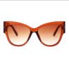 New Fashion Brand Designer Tom Cat Eye Sunglasses Women Oversized Frame Vintage Sun Glasses oculos de sol UV400